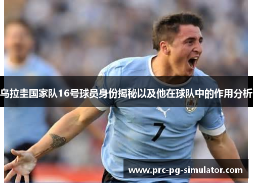 乌拉圭国家队16号球员身份揭秘以及他在球队中的作用分析