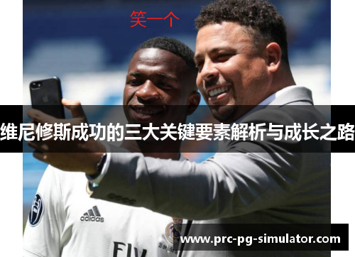 维尼修斯成功的三大关键要素解析与成长之路