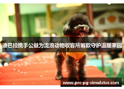 迪巴拉携手公益为流浪动物收容所筹款守护温暖家园 迪巴拉携手公益为流浪动物收容所筹款守护温暖家园