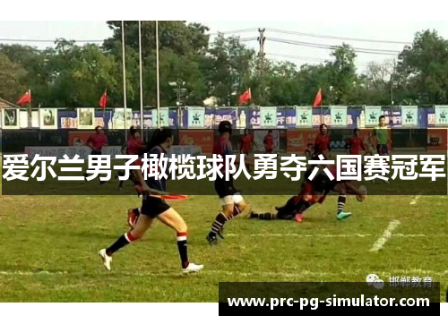 爱尔兰男子橄榄球队勇夺六国赛冠军